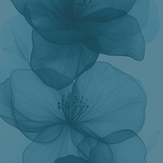 Laser & RF Treatments